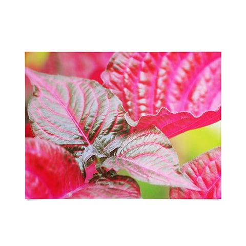 Lisa Argyropoulos Vibrant Poster