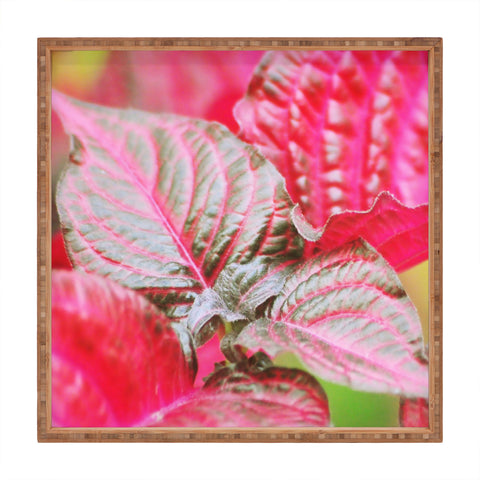 Lisa Argyropoulos Vibrant Square Tray