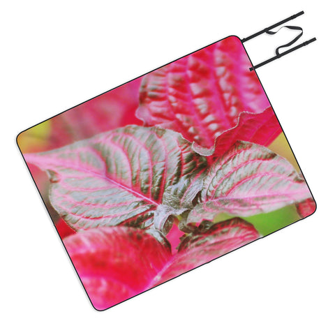 Lisa Argyropoulos Vibrant Picnic Blanket