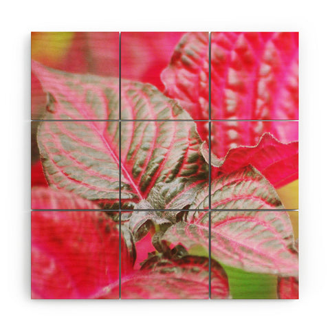 Lisa Argyropoulos Vibrant Wood Wall Mural