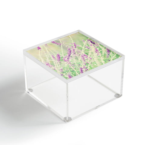 Lisa Argyropoulos Wandering In Dreamland Acrylic Box