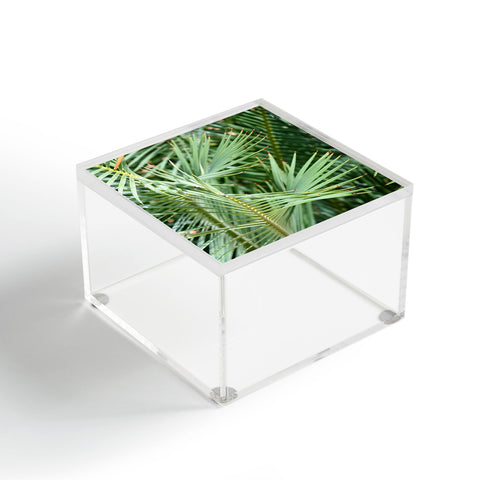 Lisa Argyropoulos Whispered Fronds Acrylic Box