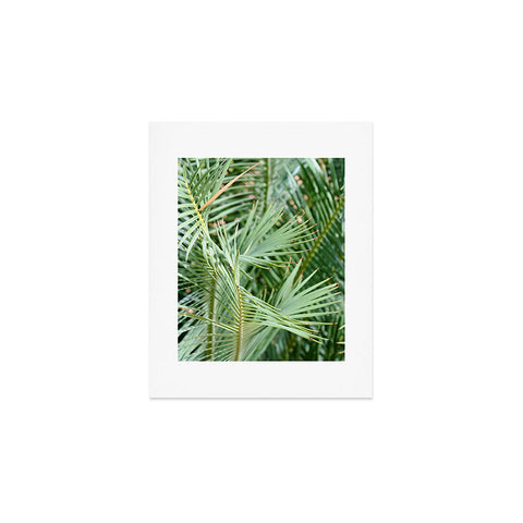 Lisa Argyropoulos Whispered Fronds Art Print