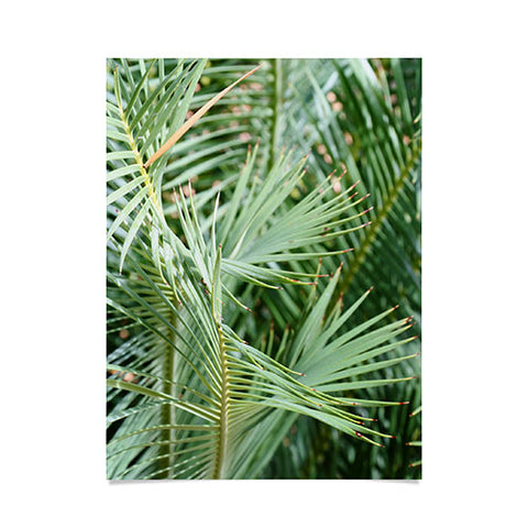 Lisa Argyropoulos Whispered Fronds Poster