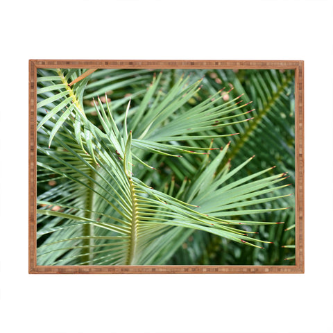 Lisa Argyropoulos Whispered Fronds Rectangular Tray