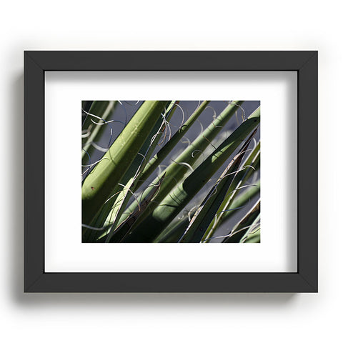 Lisa Argyropoulos Wiry Yucca Recessed Framing Rectangle