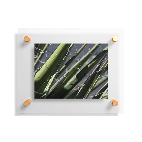 Lisa Argyropoulos Wiry Yucca Floating Acrylic Print