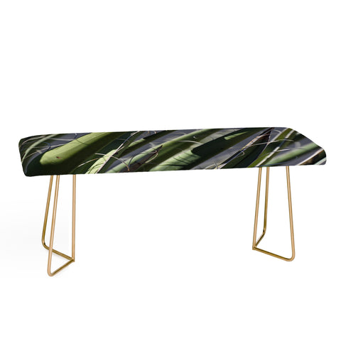 Lisa Argyropoulos Wiry Yucca Bench
