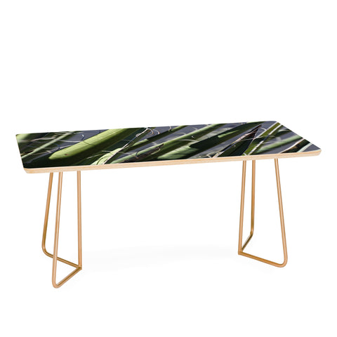 Lisa Argyropoulos Wiry Yucca Coffee Table