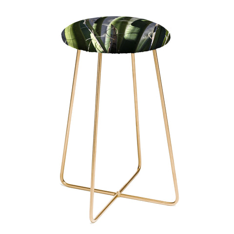 Lisa Argyropoulos Wiry Yucca Counter Stool
