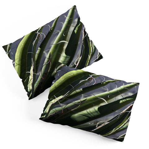 Lisa Argyropoulos Wiry Yucca Pillow Shams