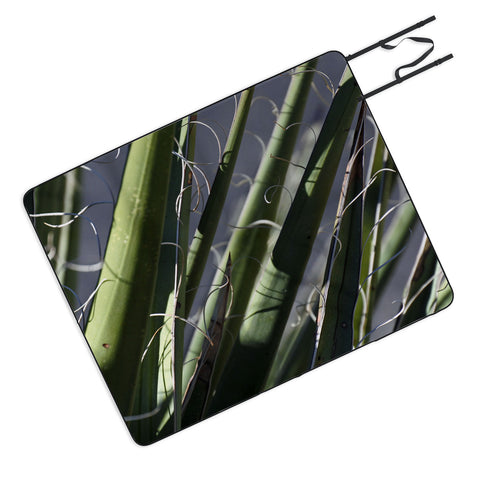 Lisa Argyropoulos Wiry Yucca Picnic Blanket