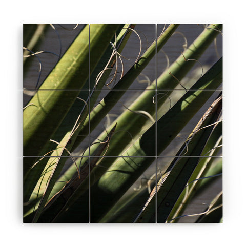 Lisa Argyropoulos Wiry Yucca Wood Wall Mural