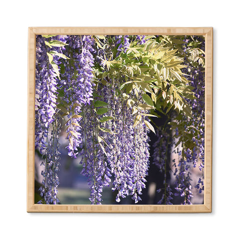 Lisa Argyropoulos Wisteria Framed Wall Art
