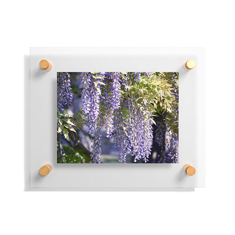 Lisa Argyropoulos Wisteria Floating Acrylic Print