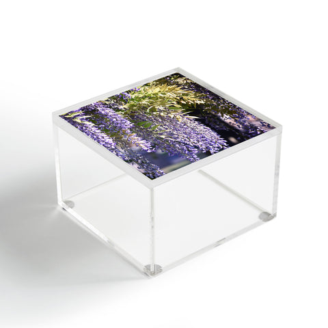Lisa Argyropoulos Wisteria Acrylic Box