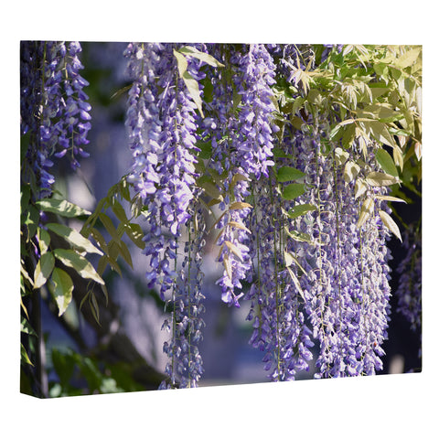 Lisa Argyropoulos Wisteria Art Canvas