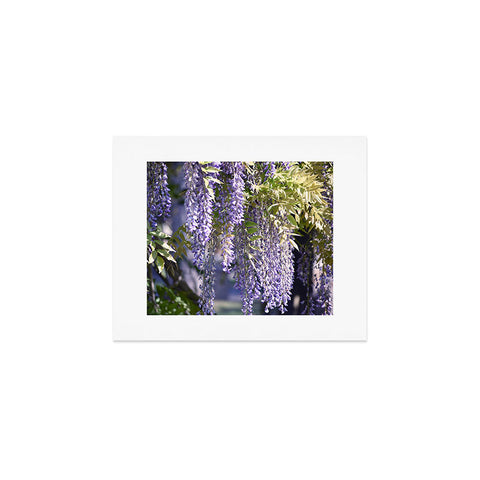 Lisa Argyropoulos Wisteria Art Print