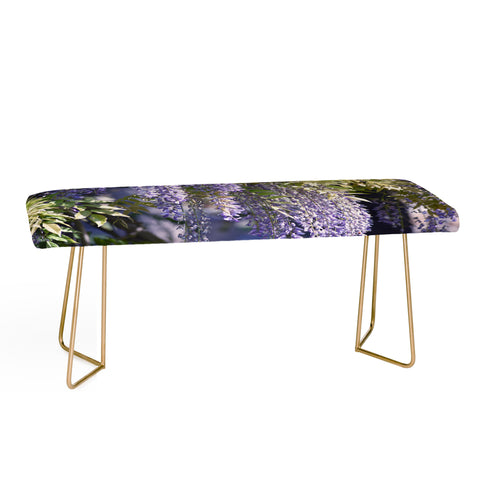 Lisa Argyropoulos Wisteria Bench