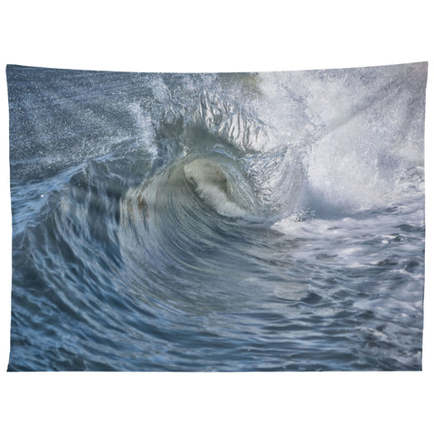 Lisa Argyropoulos Within the eye Blue Tapestry