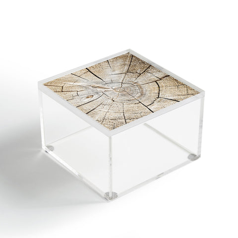 Lisa Argyropoulos Wood Cut Acrylic Box