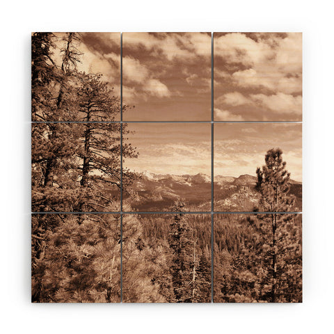 Lisa Argyropoulos Yosemite View Warm Sepia Wood Wall Mural