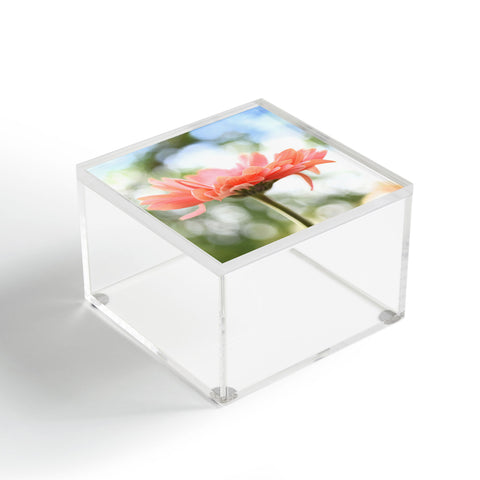 Lisa Argyropoulos You Are So Beautiful Acrylic Box