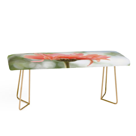 Lisa Argyropoulos You Are So Beautiful Bench