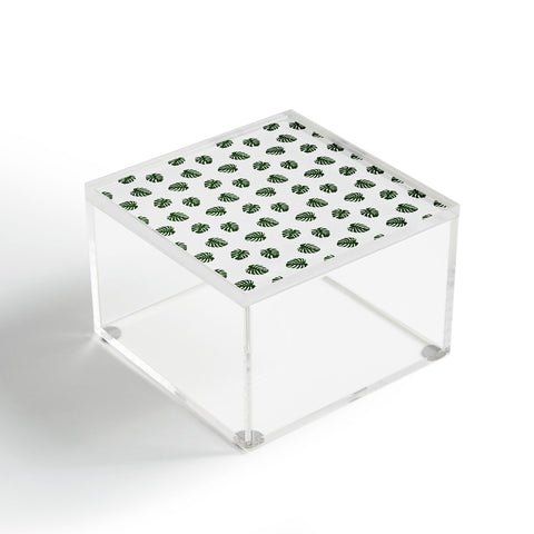 Little Arrow Design Co Woven Monstera in Green Acrylic Box