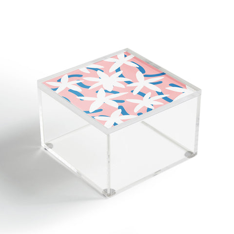 Little Dean Star pink spring bloom Acrylic Box