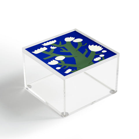 Little Dean White flower in blue Acrylic Box