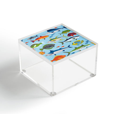 Lucie Rice Fish Frenzy Acrylic Box