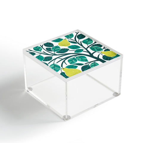 Lucie Rice Pear Tree Acrylic Box