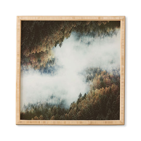 Luke Gram Forest Layers Framed Wall Art