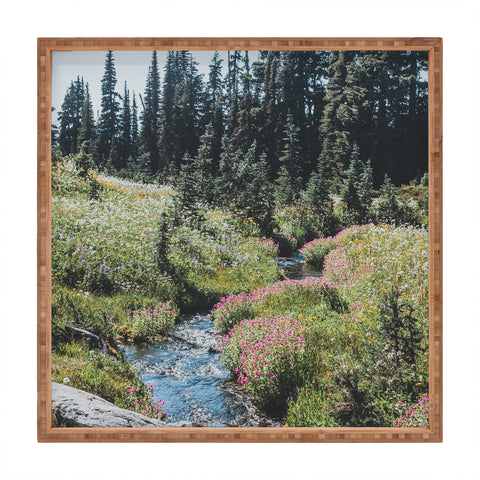 Luke Gram Garibaldi Provincial Park Square Tray