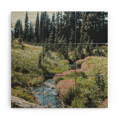 Luke Gram Garibaldi Provincial Park Wood Wall Mural