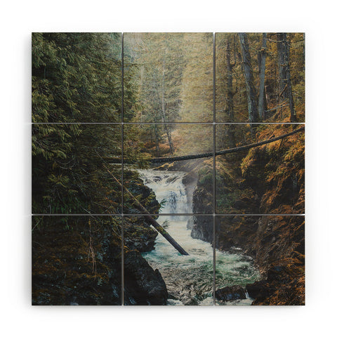 Luke Gram Little Qualicum Falls Wood Wall Mural