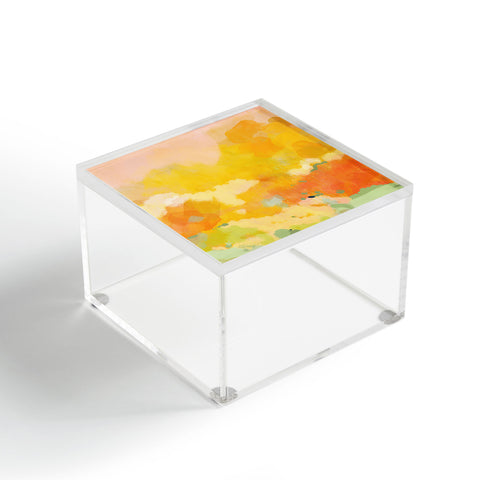 lunetricotee abstract spring sun Acrylic Box