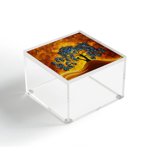 Madart Inc. Dreaming In Color Acrylic Box