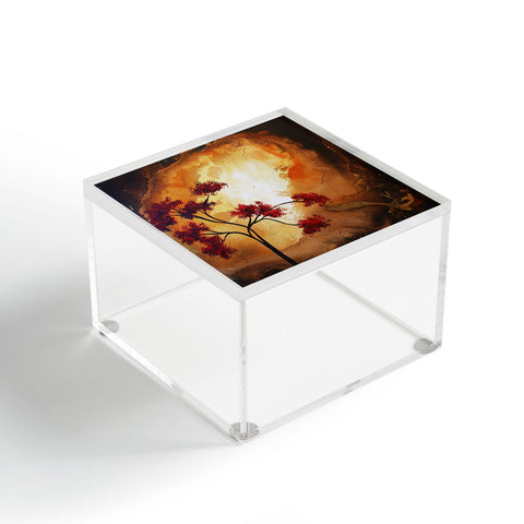 Madart Inc. Empty Nest 1 Acrylic Box