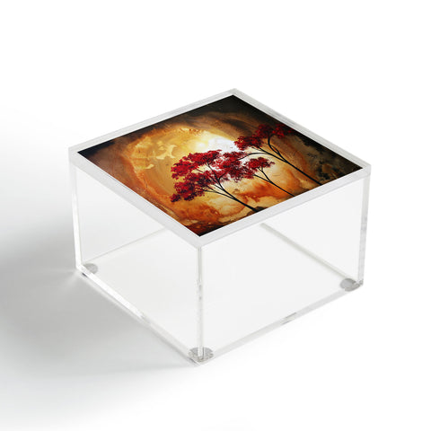 Madart Inc. Empty Nest 2 Acrylic Box
