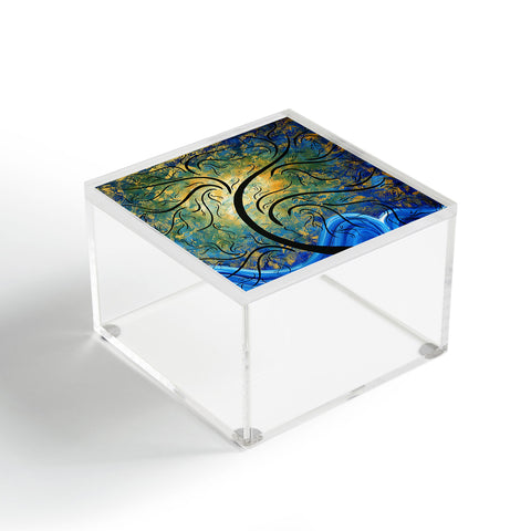 Madart Inc. Forward Reaching Acrylic Box