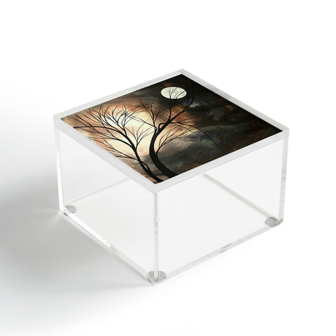 Madart Inc. Lost Moon Acrylic Box