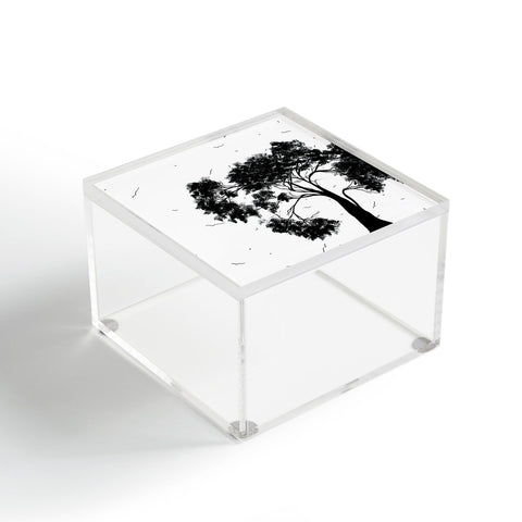 Madart Inc. Modern Designs 3 Acrylic Box