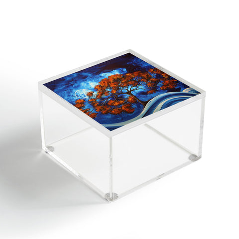 Madart Inc. Serendiptious Acrylic Box