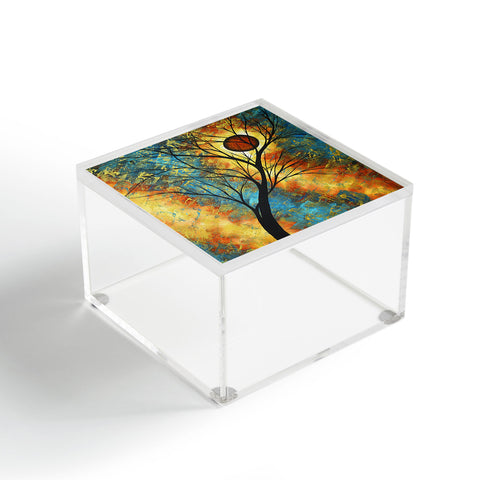 Madart Inc. Simply Delightful Acrylic Box