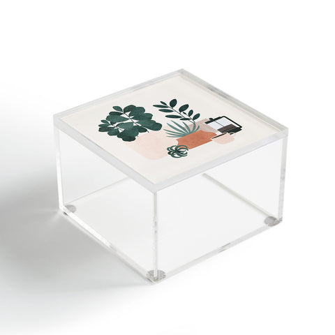 Madeline Kate Martinez Coffee Plants x The Sill Acrylic Box
