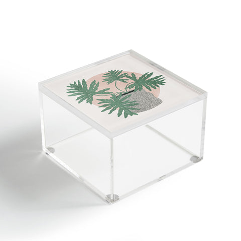 Madeline Kate Martinez split leaf philodendron Acrylic Box