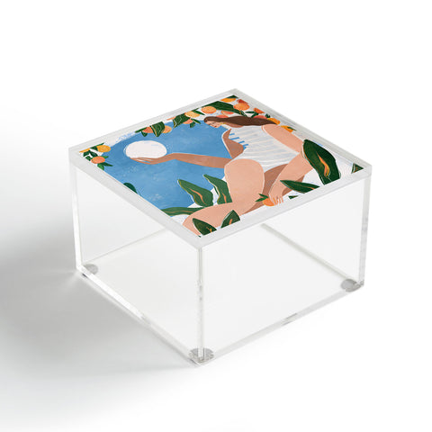 Maggie Stephenson Indoor garden Acrylic Box