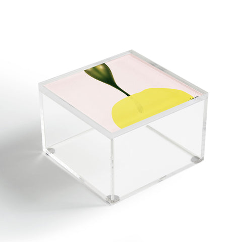 Mambo Art Studio A Lemon Acrylic Box